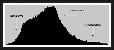 Histogram of Red Fox Image